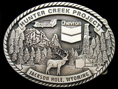 Chevron Hunter Creek Jackson Hole  